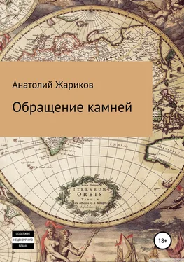 Анатолий Жариков Обращение камней обложка книги