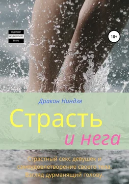 Дракон Ниндзя Страсть и нега обложка книги