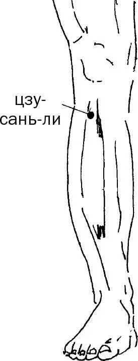 Рис 11 а Точку находят на 4 пальца ниже колена на 2 пальца кнаружи от - фото 31