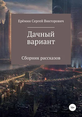 Сергей Еремин Дачный вариант обложка книги