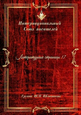 Валентина Спирина Литературные страницы – 17. Группа ИСП ВКонтакте обложка книги