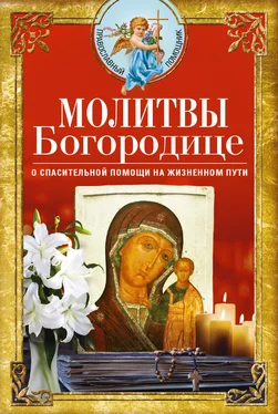 Array Сборник Молитвы Богородице о спасительной помощи на жизненном пути обложка книги