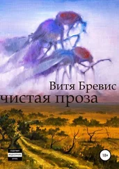 Витя Бревис - Чистая проза