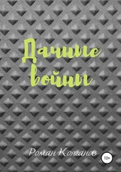 Роман Колганов - Дачные войны