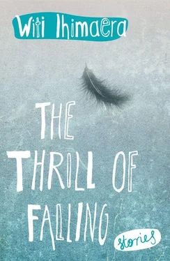 Witi Ihimaera The Thrill of Falling: Stories обложка книги