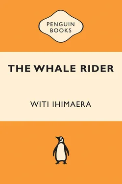 Witi Ihimaera The Whale Rider обложка книги