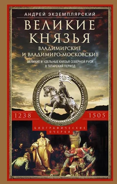 Андрей Экземплярский Великие князья Владимирские и Владимиро-Московские. Великие и удельные князья Северной Руси в татарский период с 1238 по 1505 г. обложка книги