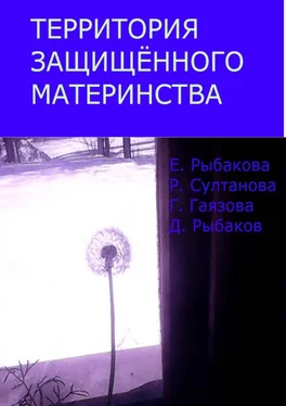 Елена Рыбакова Территория защищённого материнства обложка книги