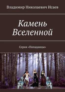 Владимир Исаев Камень Вселенной. Серия «Попаданцы» обложка книги