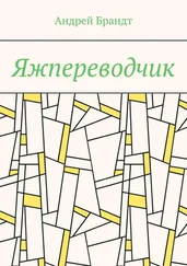 Андрей Брандт - Яжпереводчик