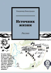 Владимир Виноградов - Источник жизни. Рассказ