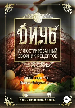 Ирина Доброхотова Дичь. Лось и европейский олень. Иллюстрированный сборник рецептов обложка книги