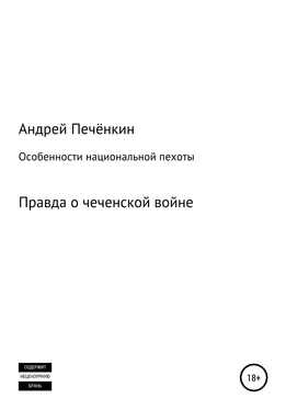 Андрей Печёнкин Особенности национальной пехоты обложка книги