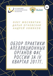 Дарья Огневская - Обзор практики апелляционных органов ФАС России за IV квартал 2017г.