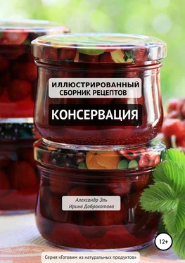 Александр Эль Консервация. Иллюстрированный сборник рецептов обложка книги