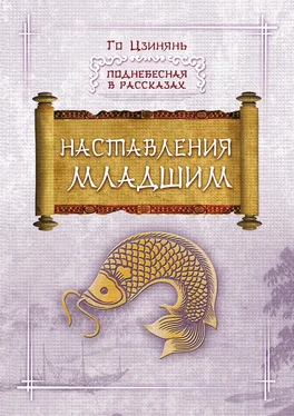 Го Цзинянь Наставления младшим обложка книги