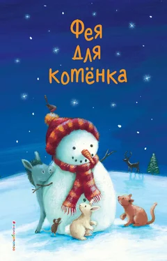 Алан Дюран Фея для котёнка обложка книги