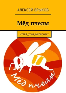 Алексей Брыков Мёд пчелы обложка книги