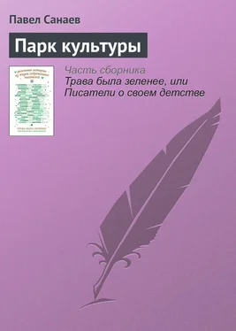 Павел Санаев Парк культуры обложка книги