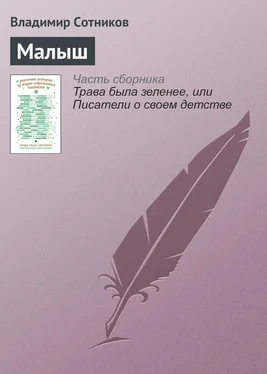 Владимир Сотников Малыш обложка книги