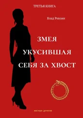 Влад Ревзин - Змея, укусившая себя за хвост. Третья книга