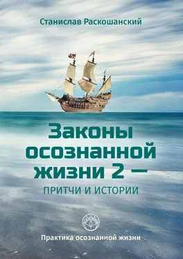 Станислав Раскошанский Законы осознанной жизни 2 – притчи и истории. Практика осознанной жизни обложка книги