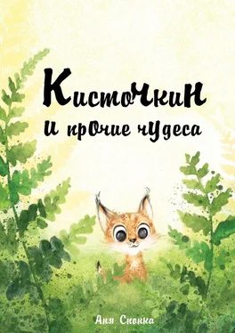 Аня Спонка Кисточкин и прочие чудеса обложка книги