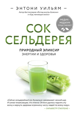 Энтони Уильям Сок сельдерея. Природный эликсир энергии и здоровья обложка книги