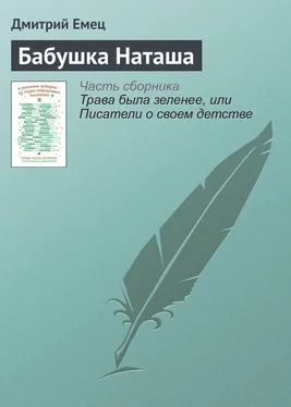 Дмитрий Емец Бабушка Наташа обложка книги