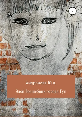 Юлия Андронова Злой волшебник города Тун обложка книги