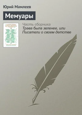 Александр Дорофеев Гусик обложка книги