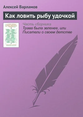 Алексей Варламов Как ловить рыбу удочкой обложка книги