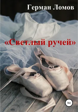 Герман Ломов «Светлый ручей» обложка книги