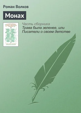 Роман Волков Монах обложка книги