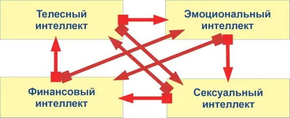 Взаимодействие интеллектов Затрагивать телесный эмоциональный и сексуальный - фото 1