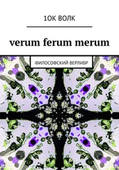 1ОК ВОЛК - verum ferum merum. философский верлибр