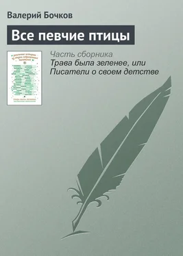 Валерий Бочков Все певчие птицы обложка книги