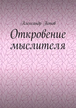 Александр Попов Откровение мыслителя обложка книги