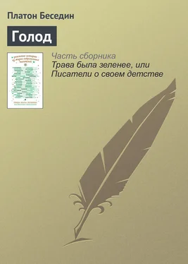 Платон Беседин Голод обложка книги