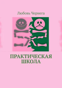 Любовь Чернега Практическая школа обложка книги