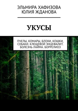 Эльмира Хафизова Укусы. Пчелы, комары, блохи, кошки, собаки. Клещевой энцефалит. Болезнь Лайма. Боррелиоз