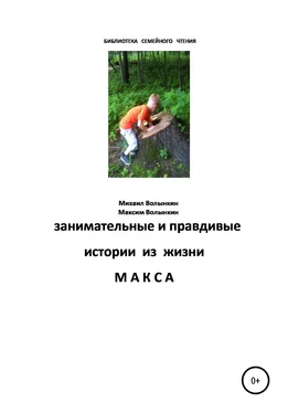 Михаил Волынкин Занимательные и правдивые истории из жизни Макса обложка книги