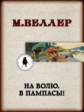 Михаил Веллер На волю, в пампасы!