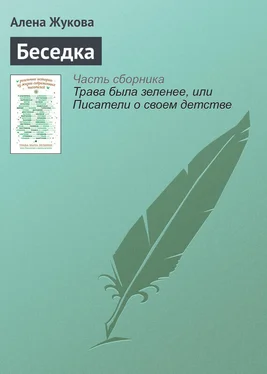 Алёна Жукова Беседка обложка книги