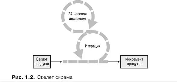 Рассмотрим устройство скелета В начале итерации команда разработки - фото 2
