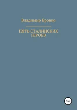 Владимир Бровко Пять сталинских героев обложка книги