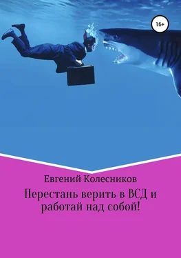 Евгений Колесников Перестань верить в ВСД и работай над собой! обложка книги