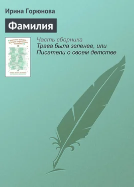 Ирина Горюнова Фамилия обложка книги