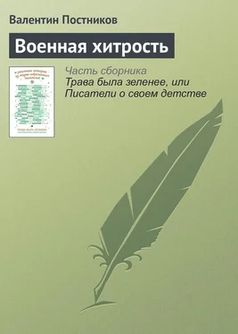 Валентин Постников Военная хитрость обложка книги