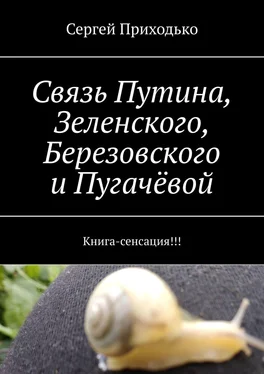 Сергей Приходько Связь Путина, Зеленского, Березовского и Пугачёвой. Книга-сенсация!!! обложка книги